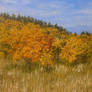 Autumn landscape