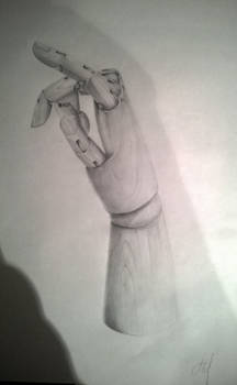 Portfolio - 1: Hand Puppet