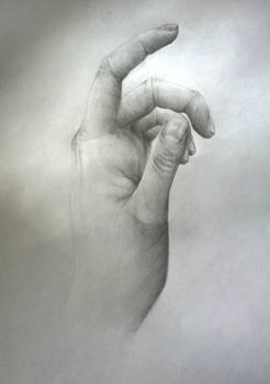 Portfolio - 2: Hand