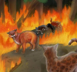 Ashfur's fire