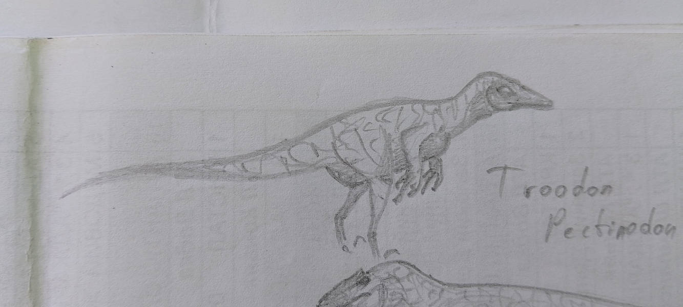 Pectinodon troodon pectinodon by Short33 on DeviantArt