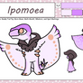 Ipomoea