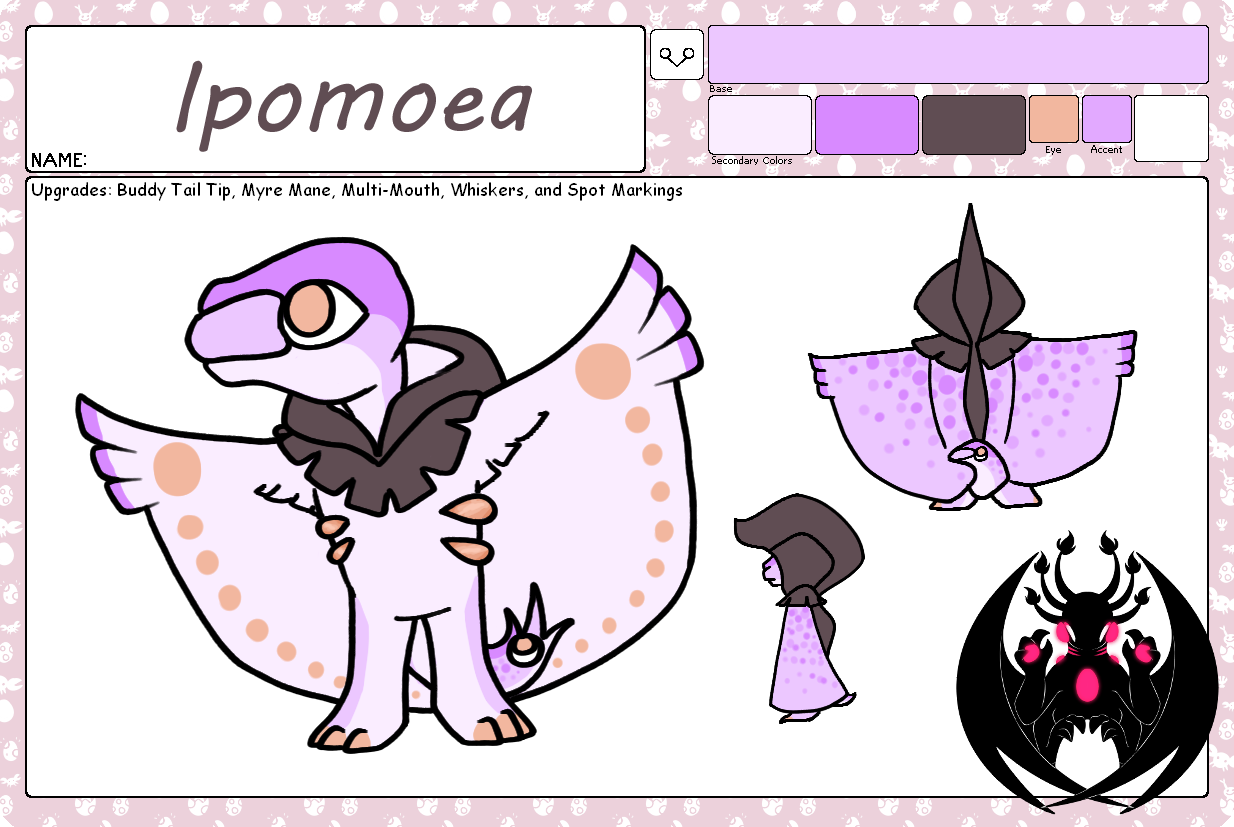 Ipomoea