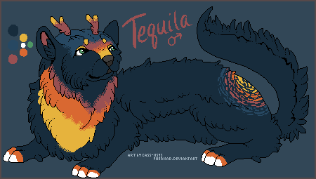 tequila