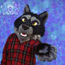 Wolf Fursuit AUCTION