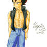 Vegeta: For The Ladies