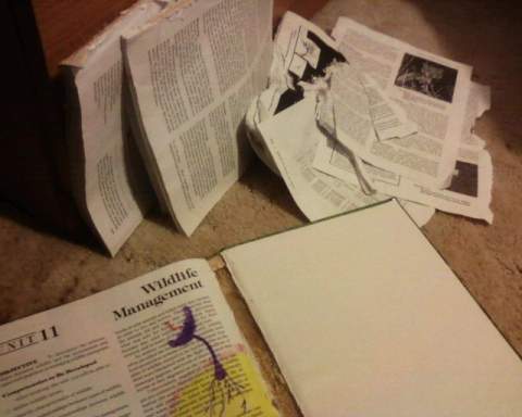 I disemboweled a text book