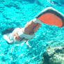 Clownfish mermaid II