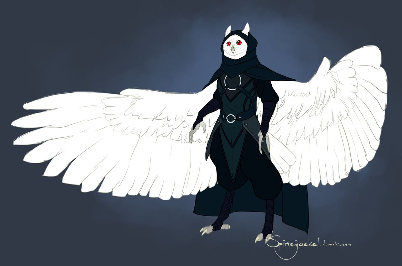 Cryptid Crew DnD Character: Moth by Spinejackel on DeviantArt