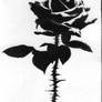 Sharp Beauty Rose Stencil Aerosol