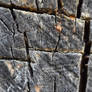 karebear-stock bark texture 1