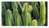 1 / catus stamp