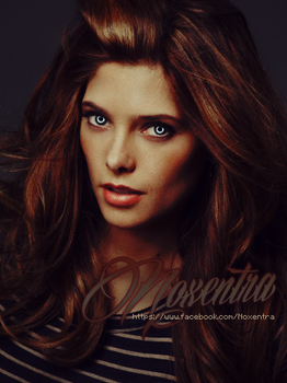 Ashley Greene // The Host