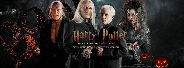 Harry Potter une saga qui vous tient a coeur