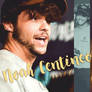 Noah Centineo France