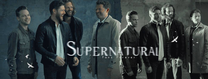 Supernatural Fans Forever