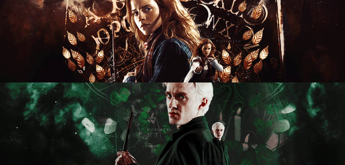 Hermione + Drago | Signature