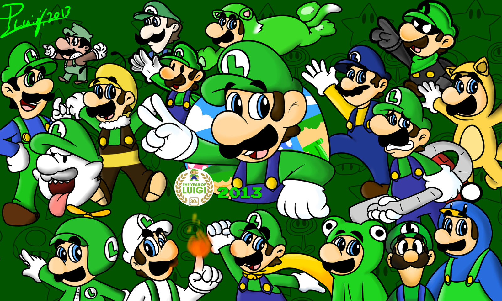 Year Of Luigi 2013