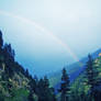 Rainbow in the Woods