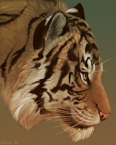 Tiger Portrait