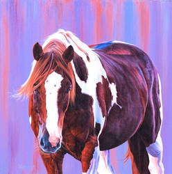 Paint mare