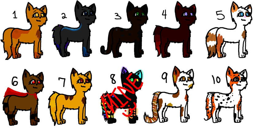 Kitty Adoptables