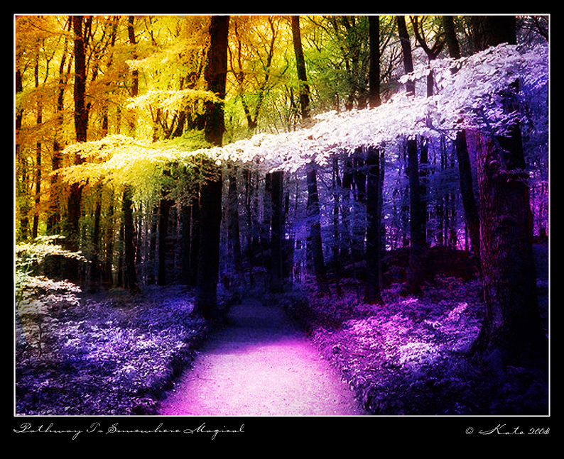 Pathway To Somewhere Magical