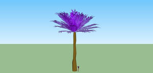 Fern tree four
