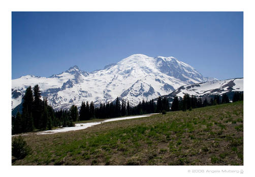 Mt. Rainier