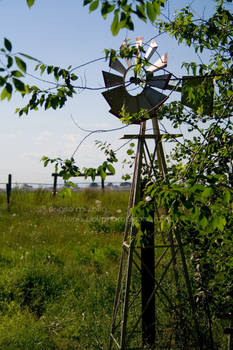 Mini Windmill