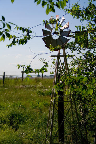 Mini Windmill