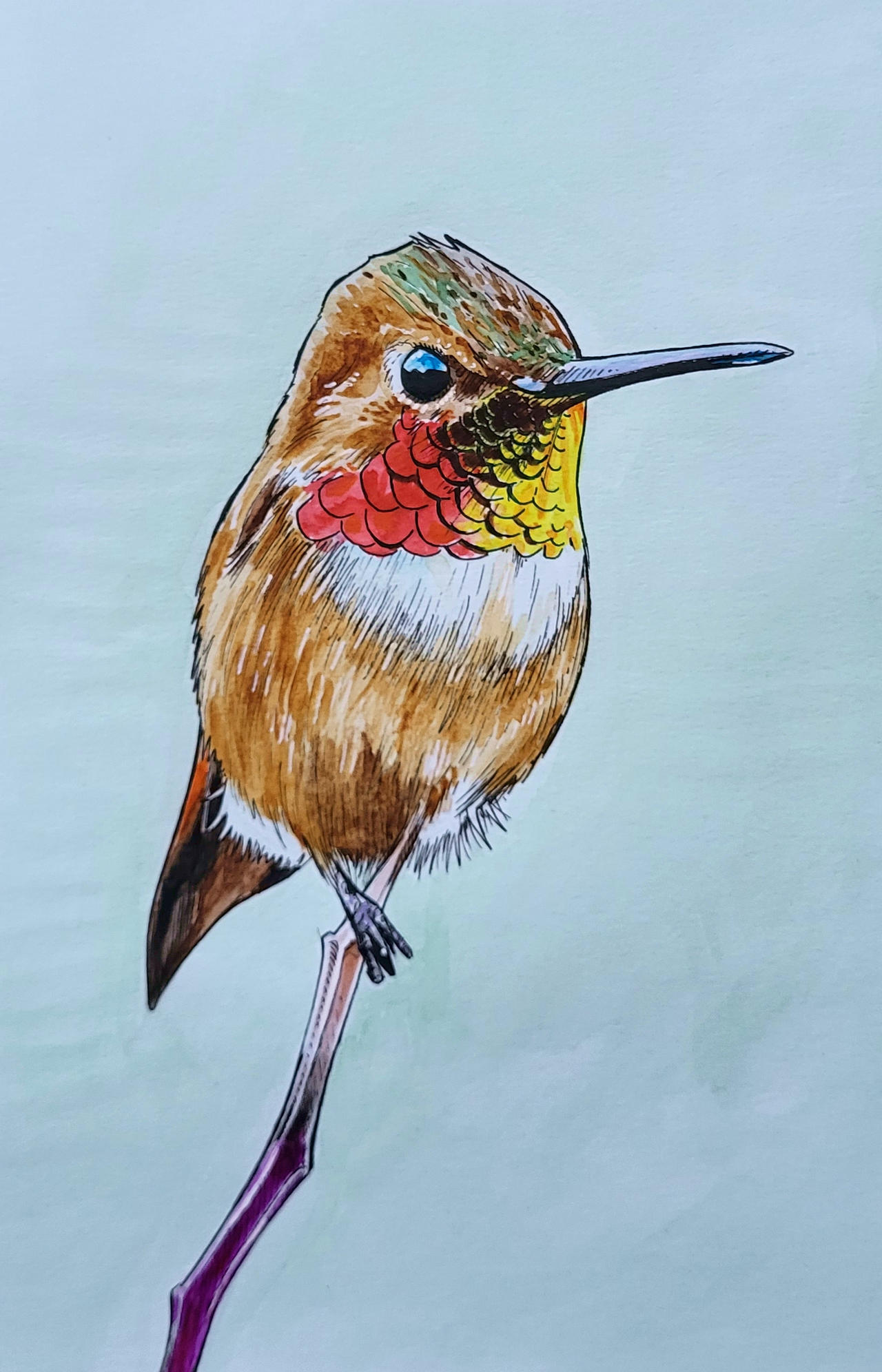 Birds Deviantart bird by PaulDarkdraft on DeviantArt