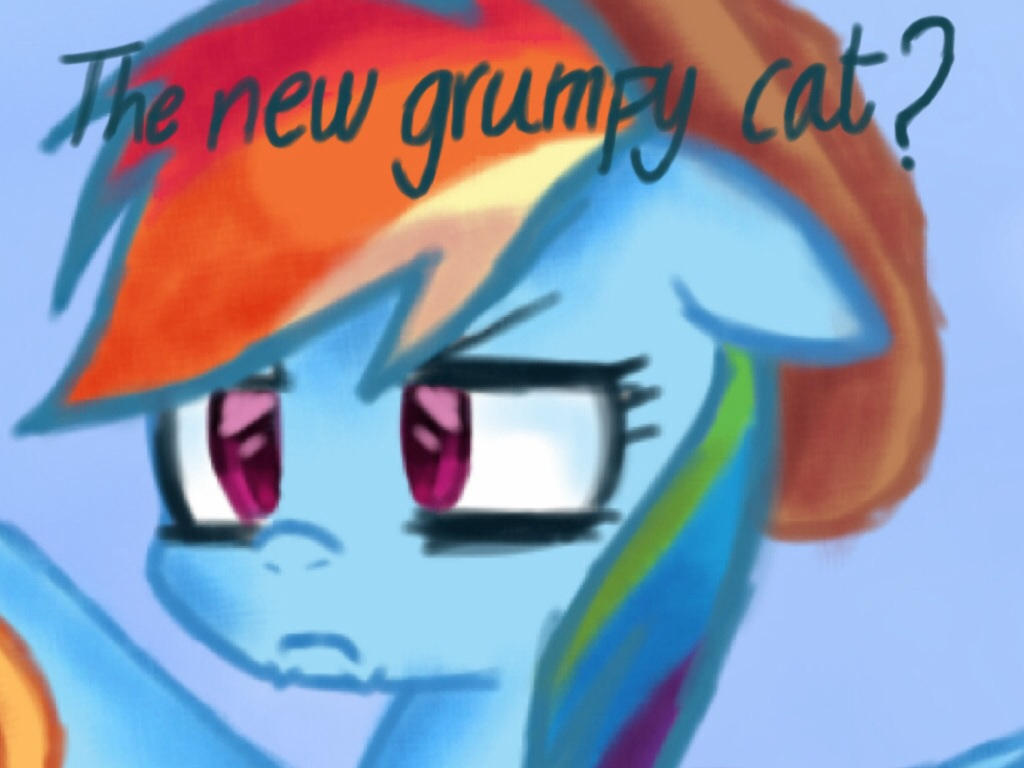 Grumpy Cat Rip Deviantart The new grumpy cat?? by Leafa123 on DeviantArt