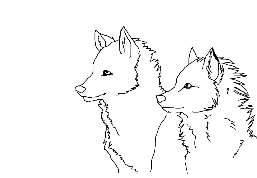 Two Wolves Drawing Base Two Wolves Together Drawing