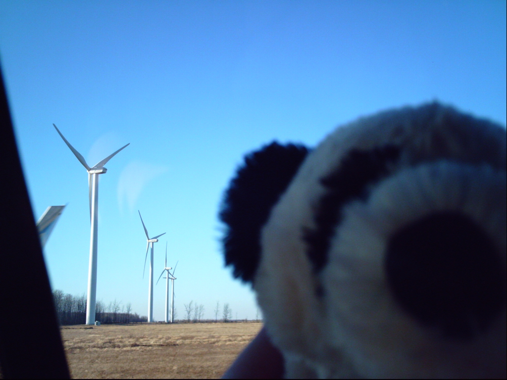 Nama Wind Mill