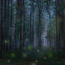 Fairy World