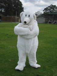 Yr 12 Muck Up Day - Polar Bear and Baby Bear!