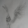 AngelWings_redrawn