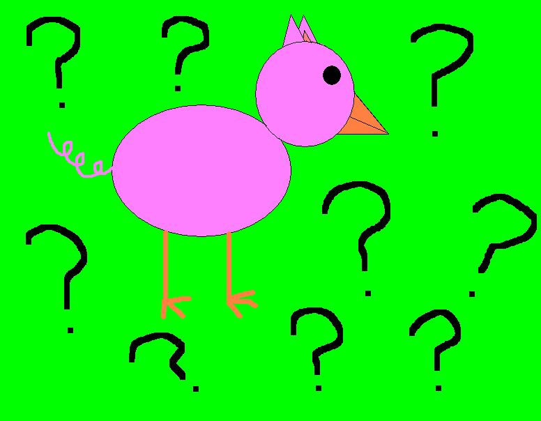 Pig or bird...hmm... by foxyhollandgirl on DeviantArt