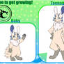 Akura grow up application!