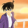 DC: Shinichi