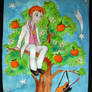 Orange tree