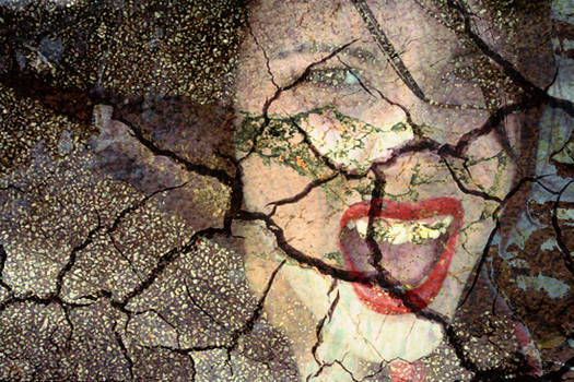 Broken Portrait