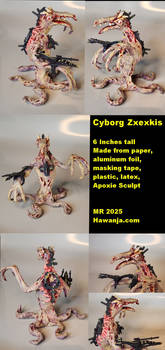 Cyborg Zxexkis