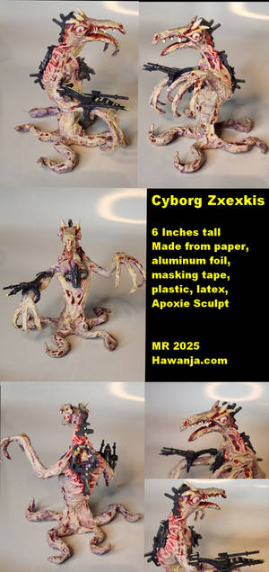 Cyborg Zxexkis