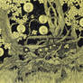 Old Forest