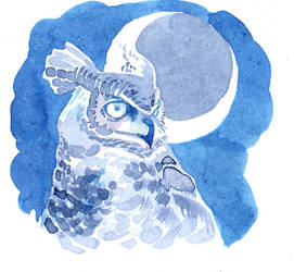 In Moonlight