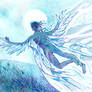 Fly