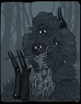 Old Tree Stump