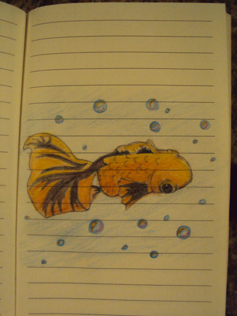 Japanese Fish Doodle